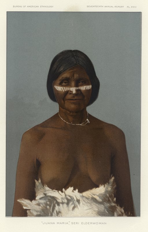 Juana Maria, Elderwoman sorozat alkotó: American School