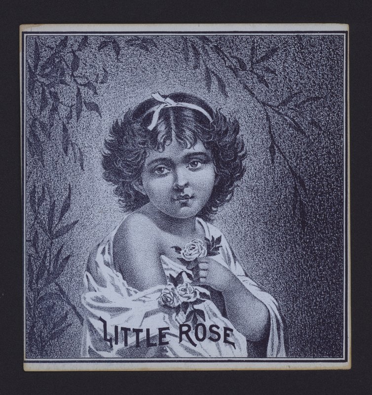 Little Rose, szivar címke (litho) alkotó: American School