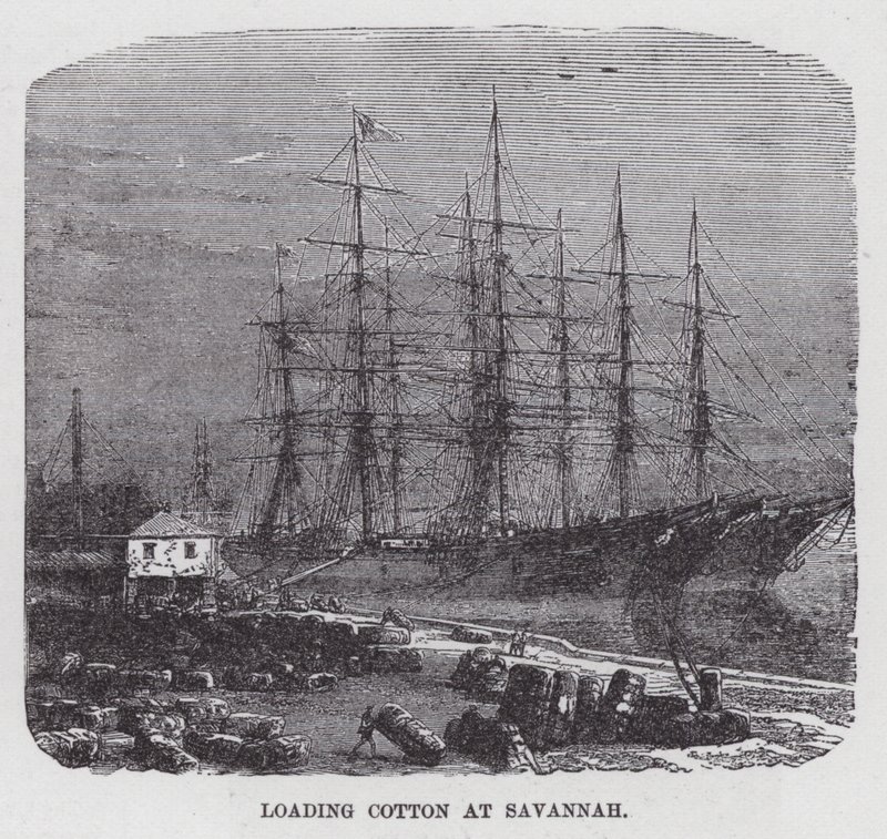 Pamut berakása Savannahban (metszet) alkotó: American School