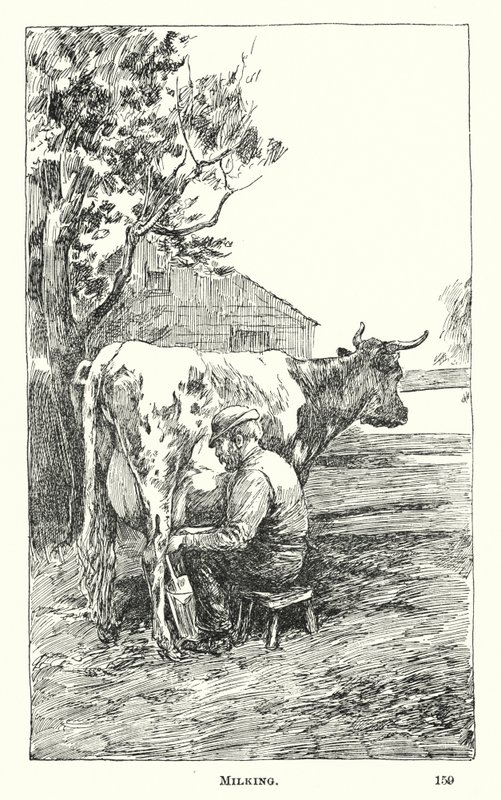 Fejés (gravírozás) alkotó: American School