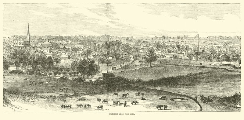 Natchez a dombon, 1862. május alkotó: American School