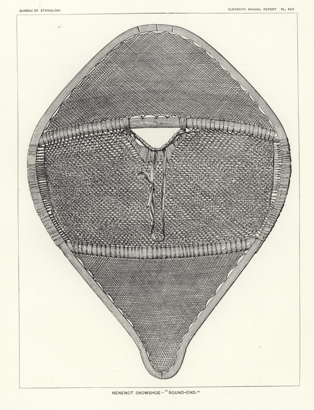 Nenenot Snowshoe - Körvég alkotó: American School