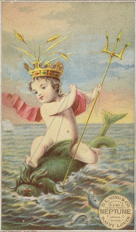 Neptun alkotó: American School