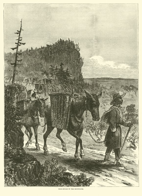 Csomóöszvérek a hegyekben, 1863. február alkotó: American School