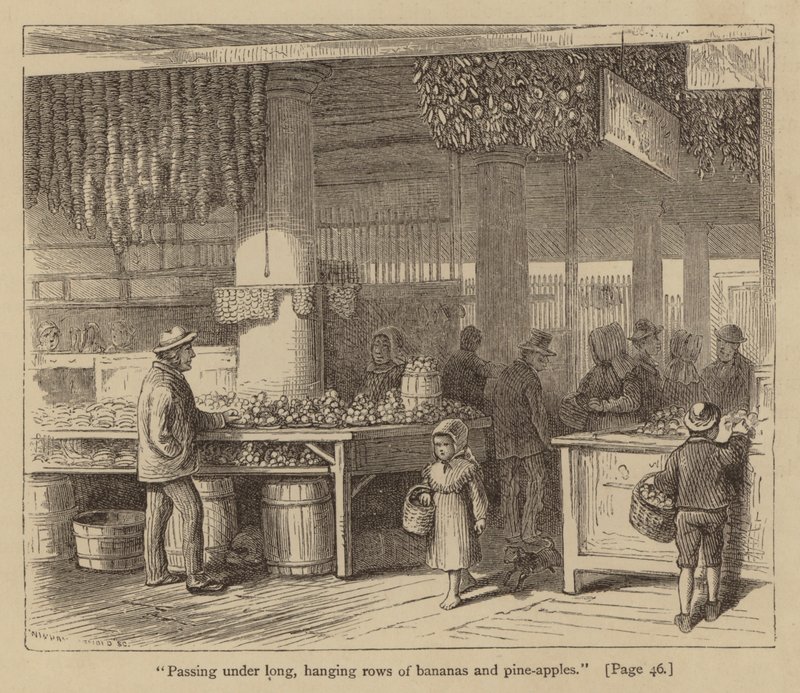 "Hosszú, lógó banán- és ananászsorok alatt haladva" (metszet) alkotó: American School