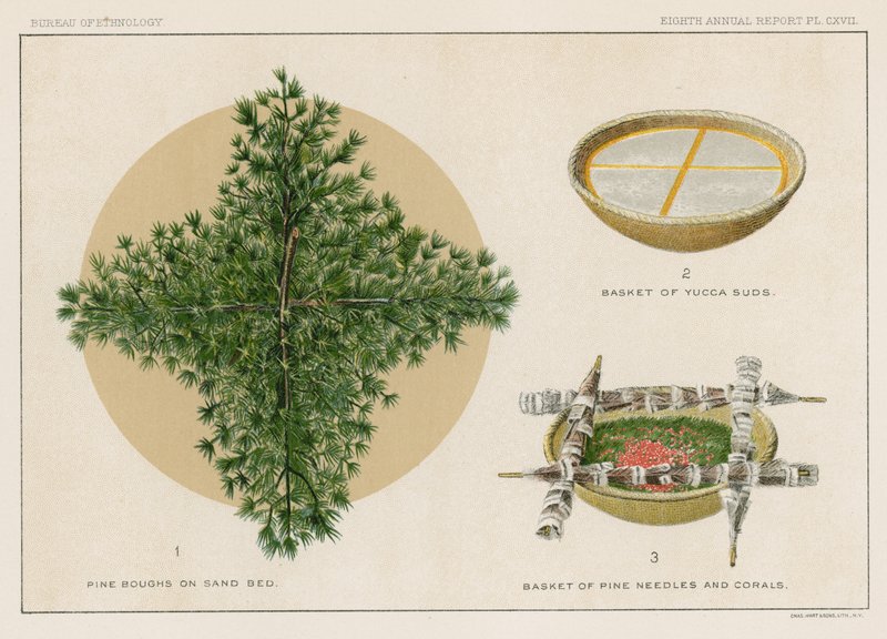 Fenyőágak homokágyon, Yucca habkosár, Fenyőtű- és korallkosár alkotó: American School