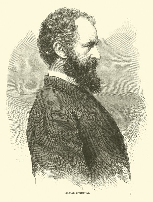 Roscoe Conkling, 1866. január alkotó: American School