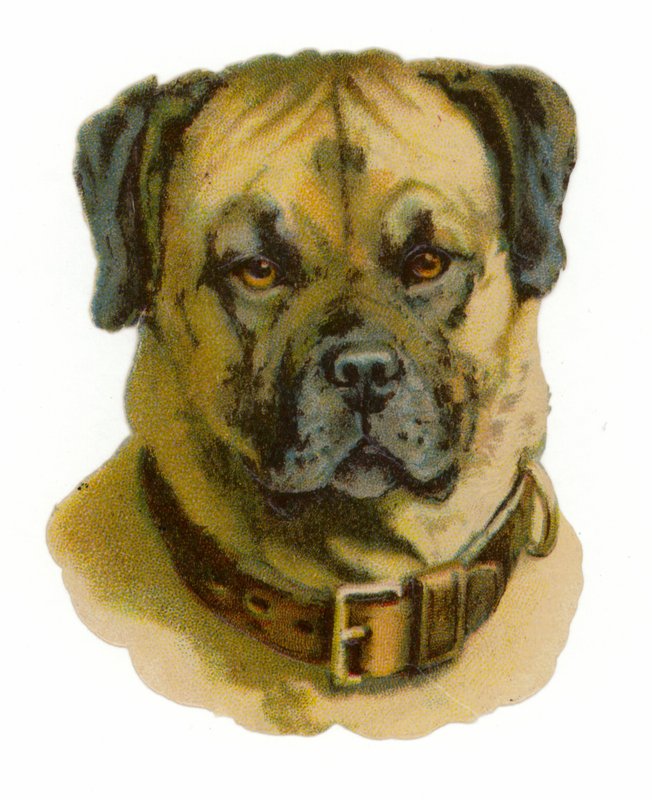 Rottweiler kutyafej alkotó: American School