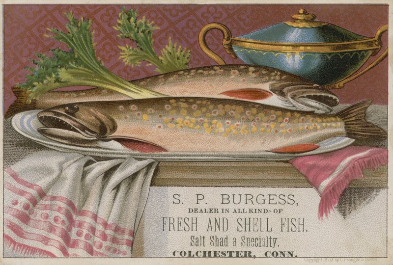S P Burgess, kereskedelmi kártya alkotó: American School