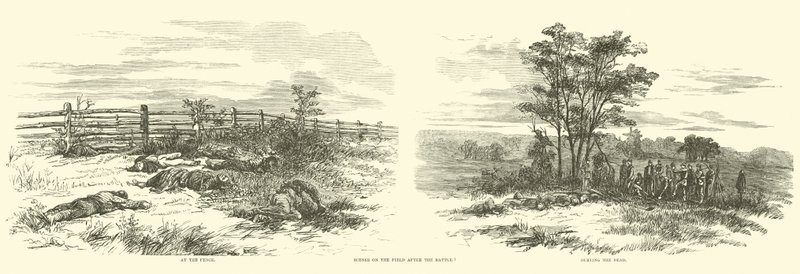 Jelenetek a mezőn a csata után, 1862. szeptember alkotó: American School
