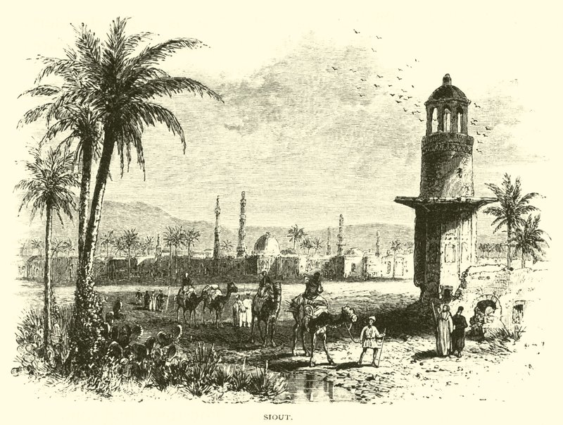 Siout alkotó: American School