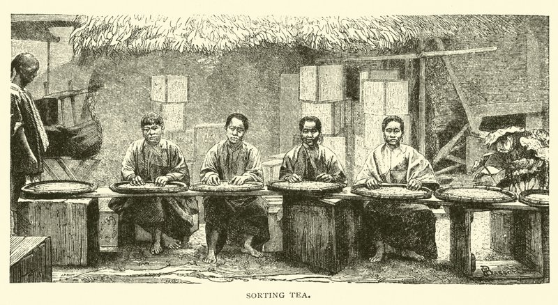 Tea válogatás alkotó: American School