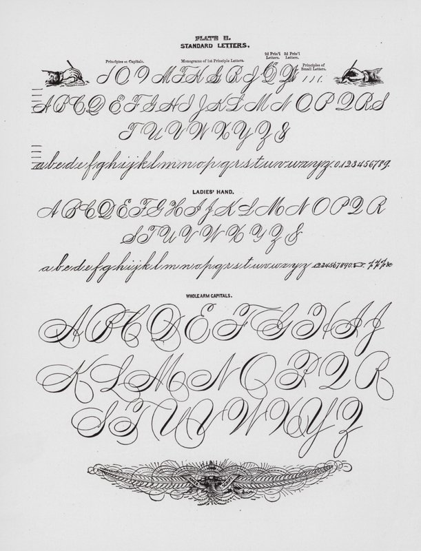 Szabványos levelek; Női kéz; Egész karú nagybetűk (metszet) alkotó: American School