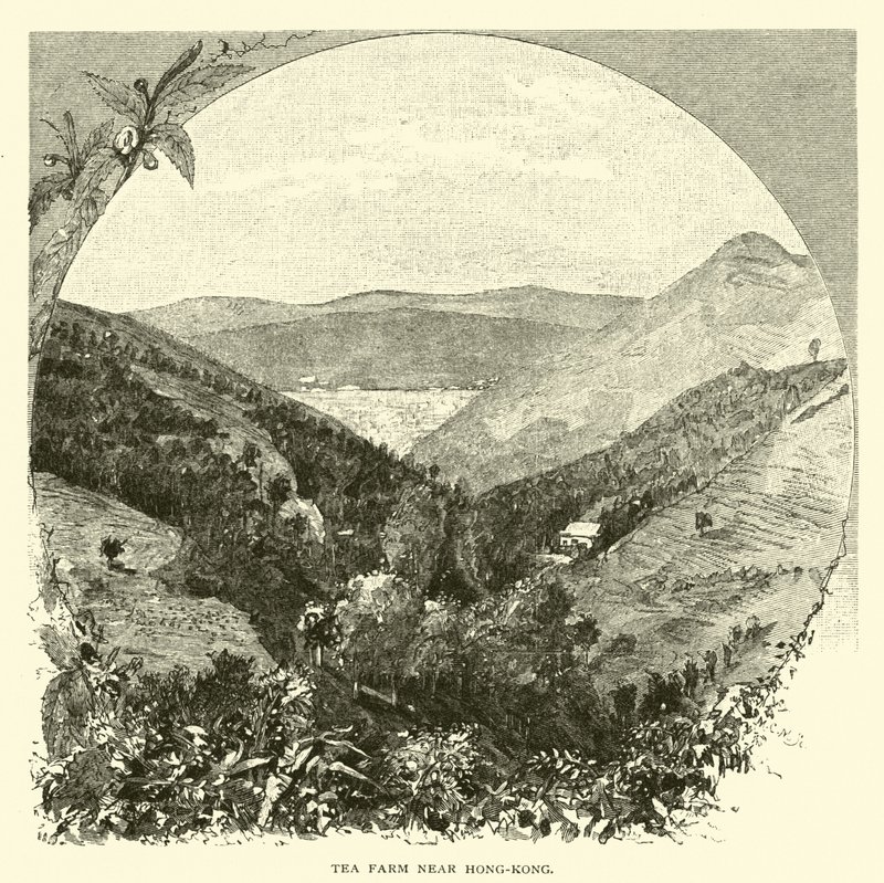 Teafarm Hongkong közelében alkotó: American School