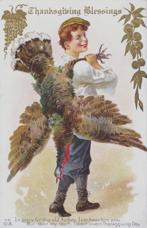 Hálaadási üdvözlőlap, amely egy embert ábrázol egy pulykával. (chromolitho) alkotó: American School