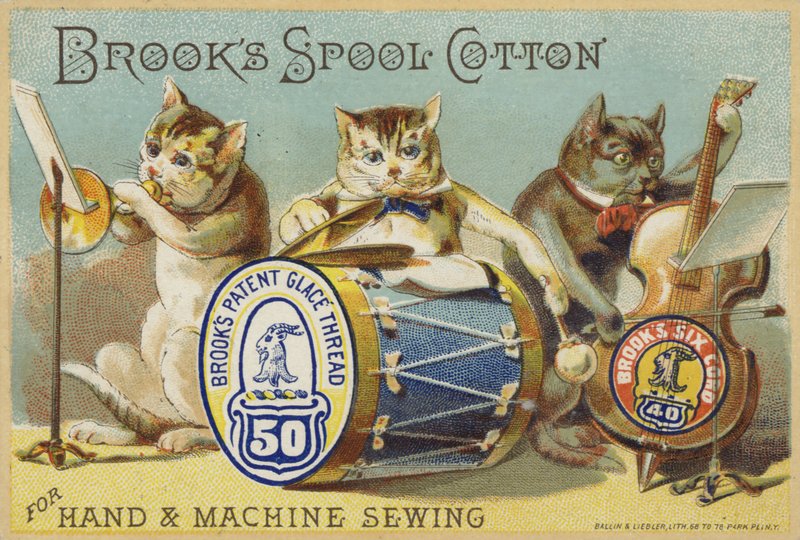 A Cat Band alkotó: American School
