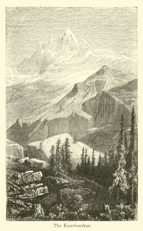 A Kaurisankar alkotó: American School