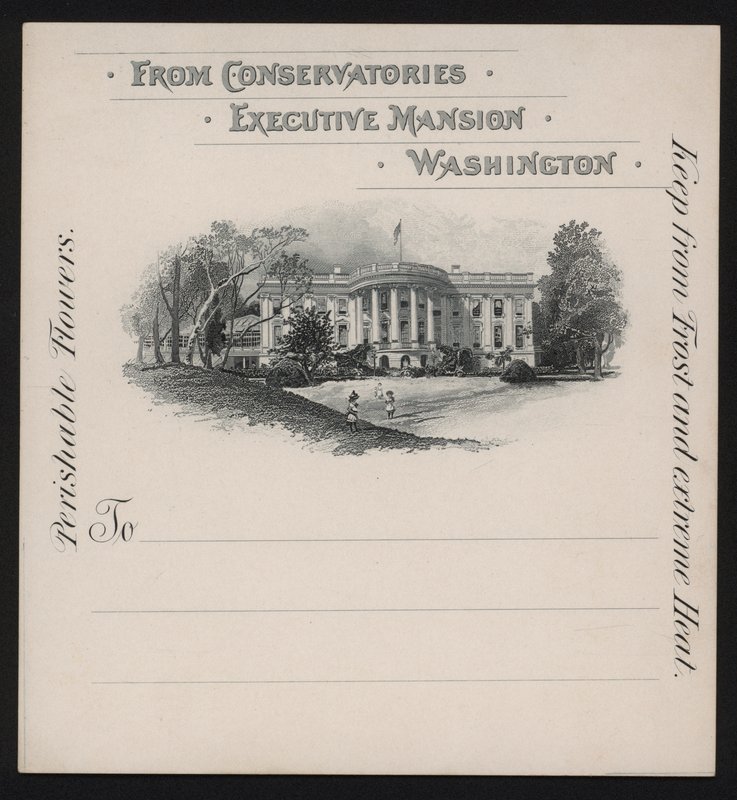 Fehér Ház, Washington DC, USA (litho) alkotó: American School