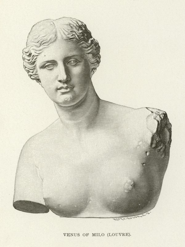 Milói Vénusz, Louvre alkotó: American School