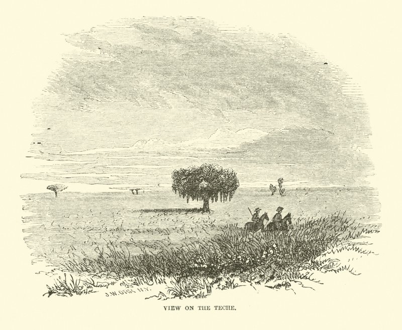 Nézet a Teche-ről, 1863. április alkotó: American School