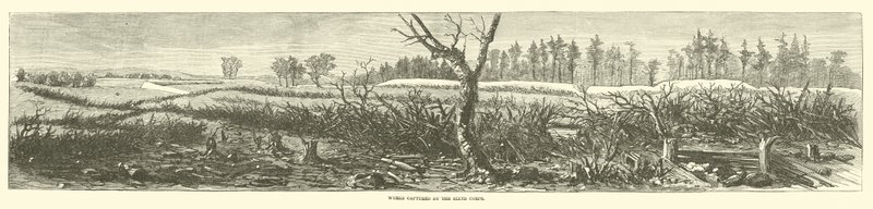 A hatodik hadtest által elfogott művek, 1865. április alkotó: American School