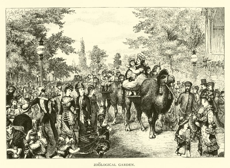 Állatkert alkotó: American School