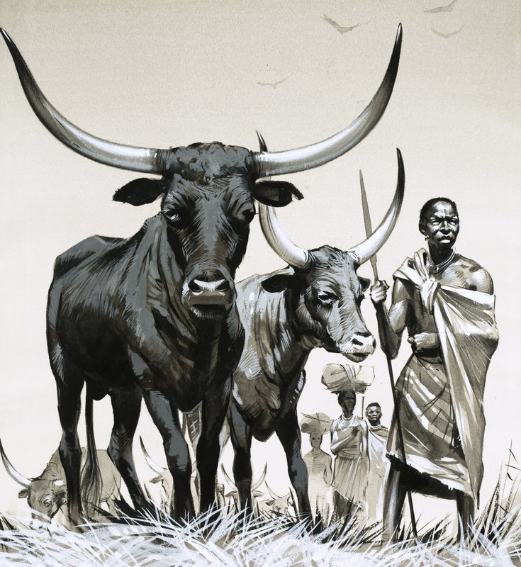 Ankole szarvasmarha alkotó: Angus McBride