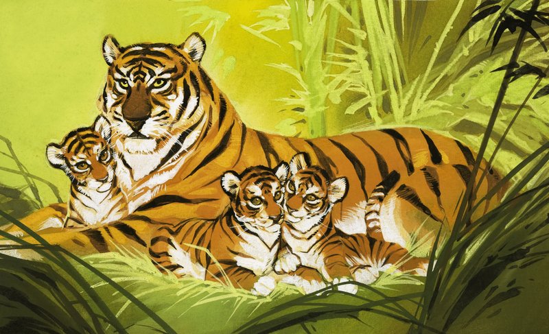 Tigris család alkotó: Angus McBride