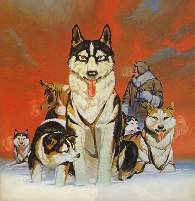 Huskyk (színes litográfia) alkotó: Angus McBride