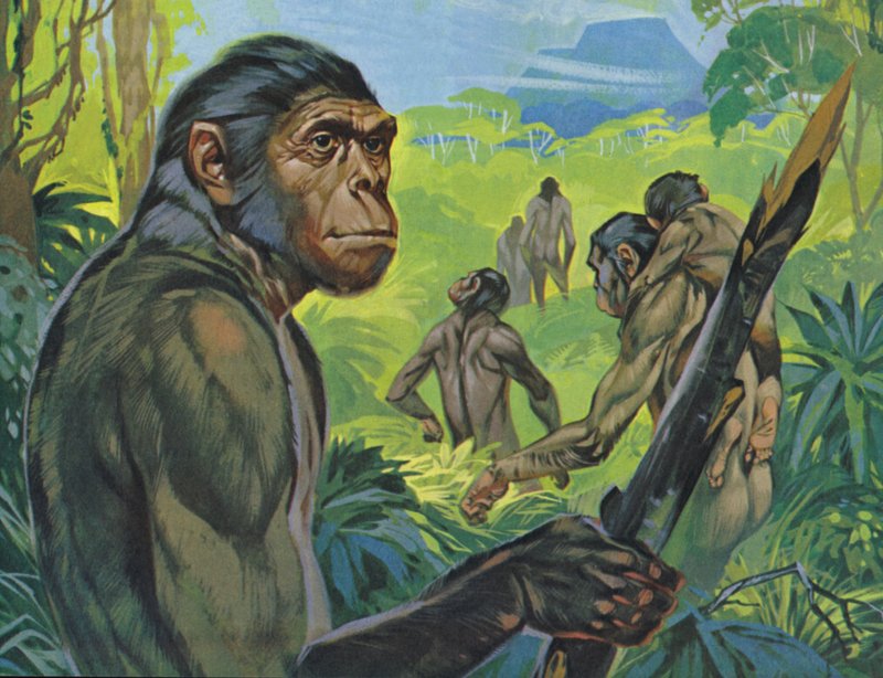Pithecanthropus (színes litográfia) alkotó: Angus McBride