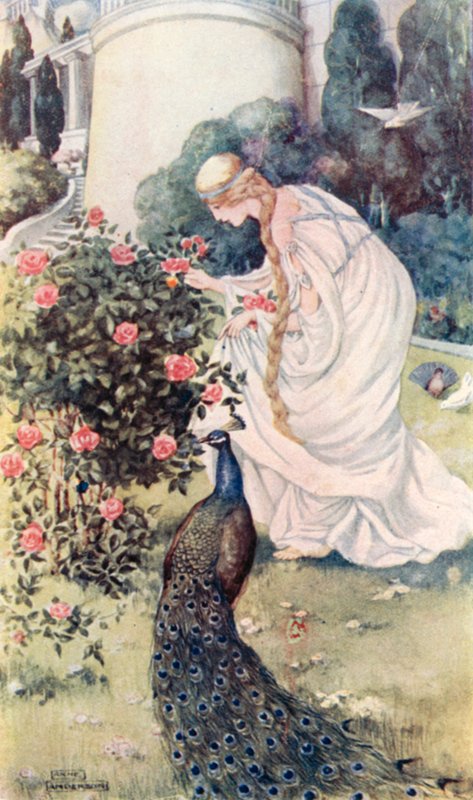 A lovagok meséje alkotó: Anne after Anderson