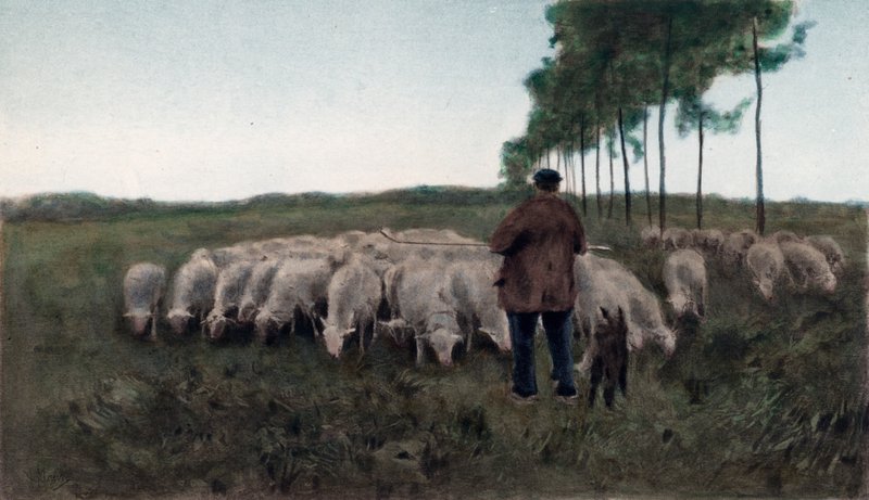 Ősz (színes fotógravúr) alkotó: Anton Mauve