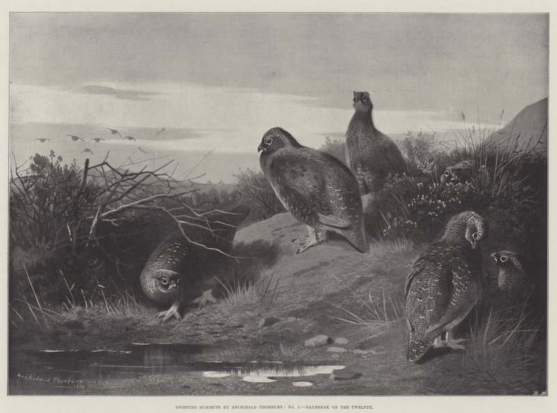 Sportos tárgyak, Hajnal a tizenkettedikén alkotó: Archibald Thorburn