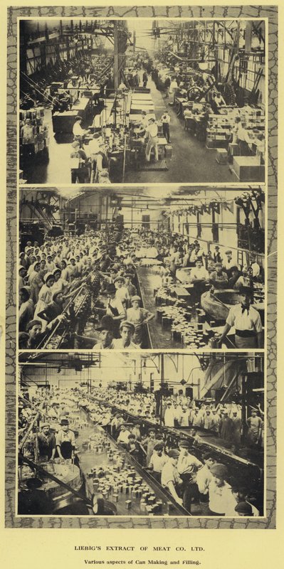 Konzervgyártás és töltés, a Liebig Extract of Meat Company, Ltd. gyára, Argentína (f/w fotó) alkotó: Argentinian Photographer