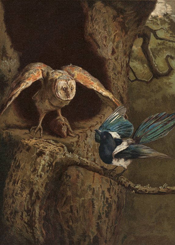 Okosság és bölcsesség alkotó: Arthur Charles Dodd