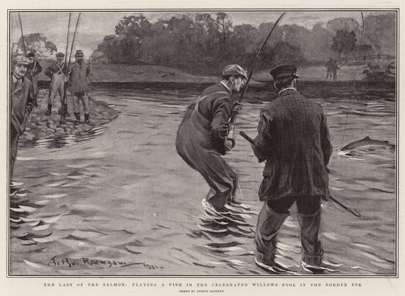 The Last of the Salmon, halat játszik a Celebrated Willows Pool-ban a Border Eskben alkotó: Arthur Rackham