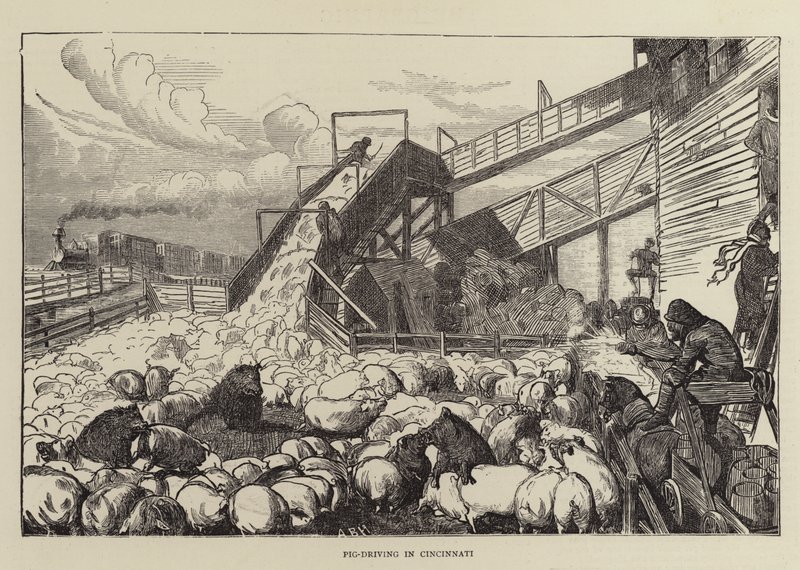 Disznóhajtás Cincinnatiben alkotó: Arthur Boyd Houghton