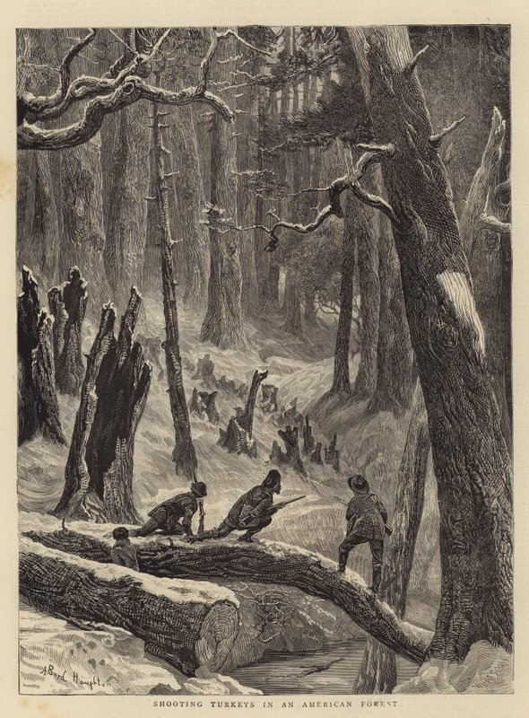 Lövöldözés pulykákra egy amerikai erdőben alkotó: Arthur Boyd Houghton