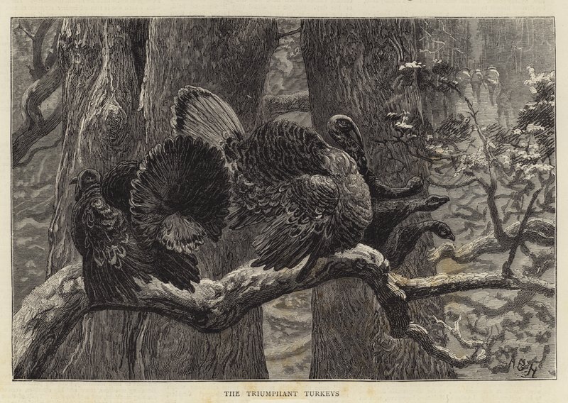 A diadalmas pulykák alkotó: Arthur Boyd Houghton