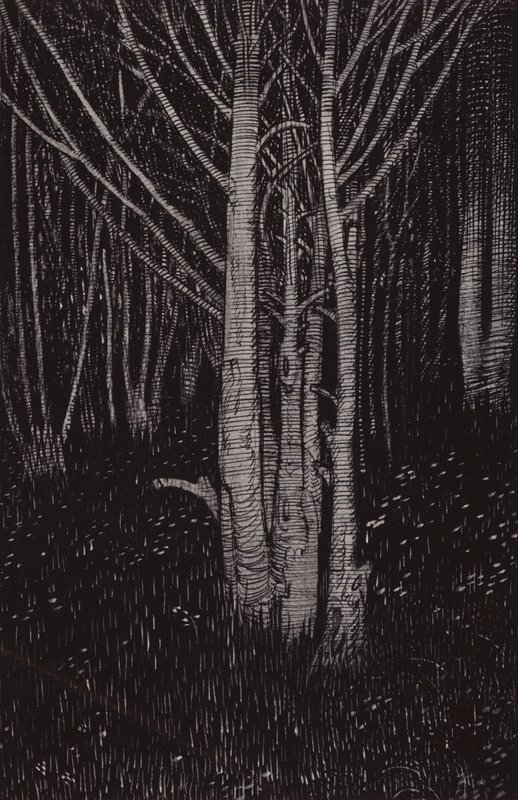 Mydnight cum volt (litho) alkotó: Arthur George Watts