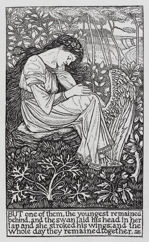 Hans Christian Andersen: A vad hattyúk (litho) alkotó: Arthur Joseph Gaskin