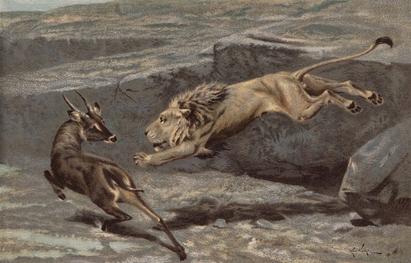 Éjszakai támadás (chromolitho) alkotó: Arthur Wardle