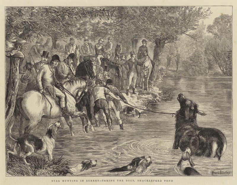 Szarvasvadászat Surreyben, a szarvasok szedése, Shackleford Pond alkotó: Basil Bradley