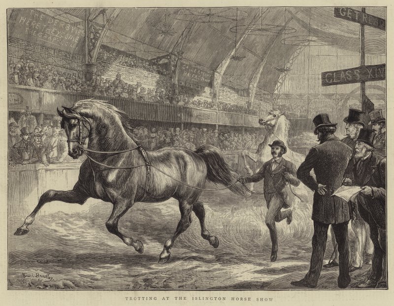 Trabolás az Islington Horse Show-n alkotó: Basil Bradley