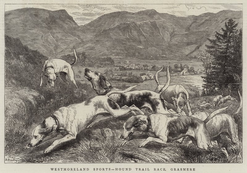 Westmoreland Sports, Hound Trial Race, Grasmere alkotó: Basil Bradley
