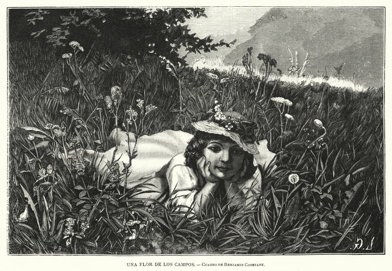 A mezők virága (litho) alkotó: Benjamin  Constant