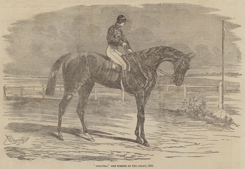 Andover, a Derby győztese, 1854 alkotó: Benjamin Herring