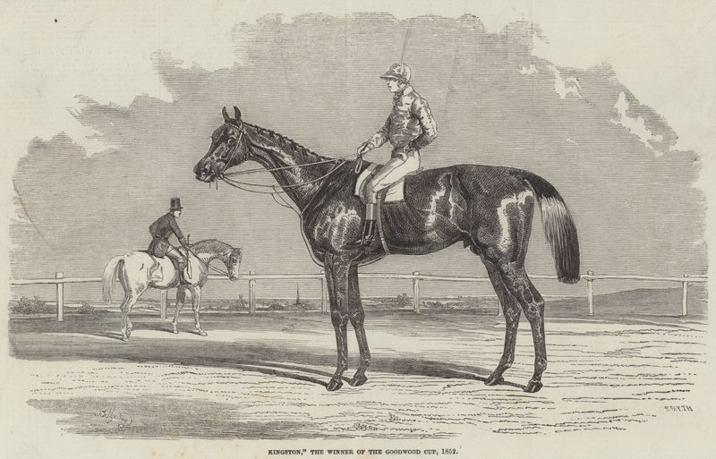 Kingston, a Goodwood Kupa győztese, 1852 alkotó: Benjamin Herring