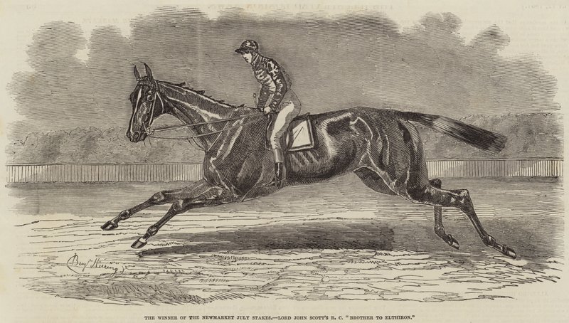 A Newmarket júliusi tét győztese, Lord John Scott BC testvére Elthironnak alkotó: Benjamin Herring
