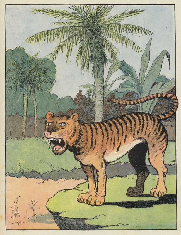 Tigris alkotó: Benjamin Rabier